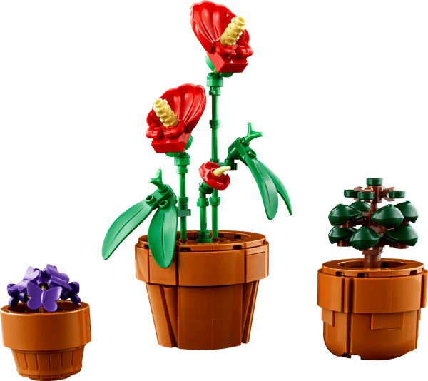 LEGO 10329 Les plantes miniatures — visuel 5 sur 8