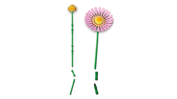 LEGO 10347 Petit bouquet ensoleillé — visuel 6 sur 8