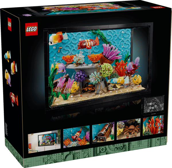 Tropical Aquarium - Image 23
