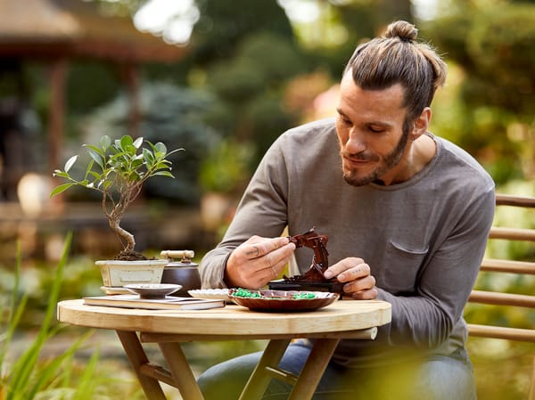 Bonsai Tree - Image 15