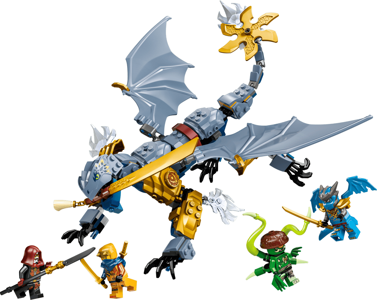 Le combat du Dragon Riyu — Vue principale