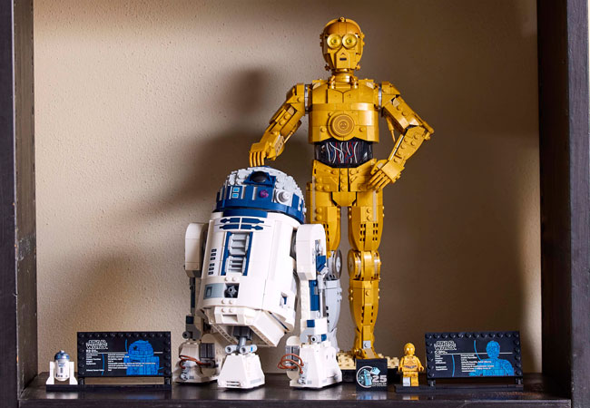 r2d2 c3poさん専用 新しい仲間がお店にやってきました〜！ C3POさんとR2D2さんです