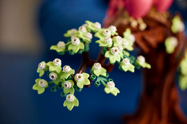 Love Birds - Image 14