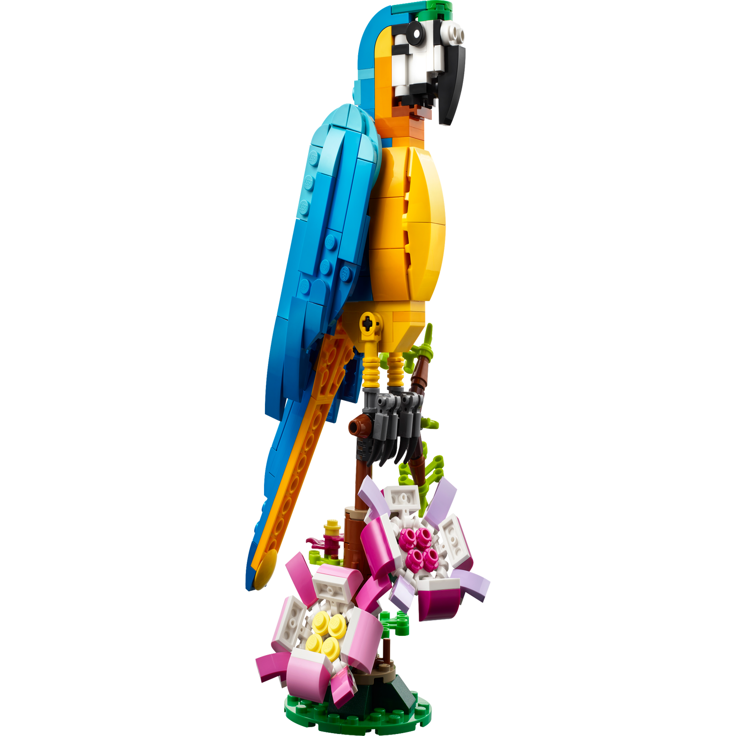 LEGO® – Exotische papegaai – 31136