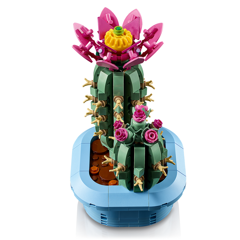 Flowering Cactus