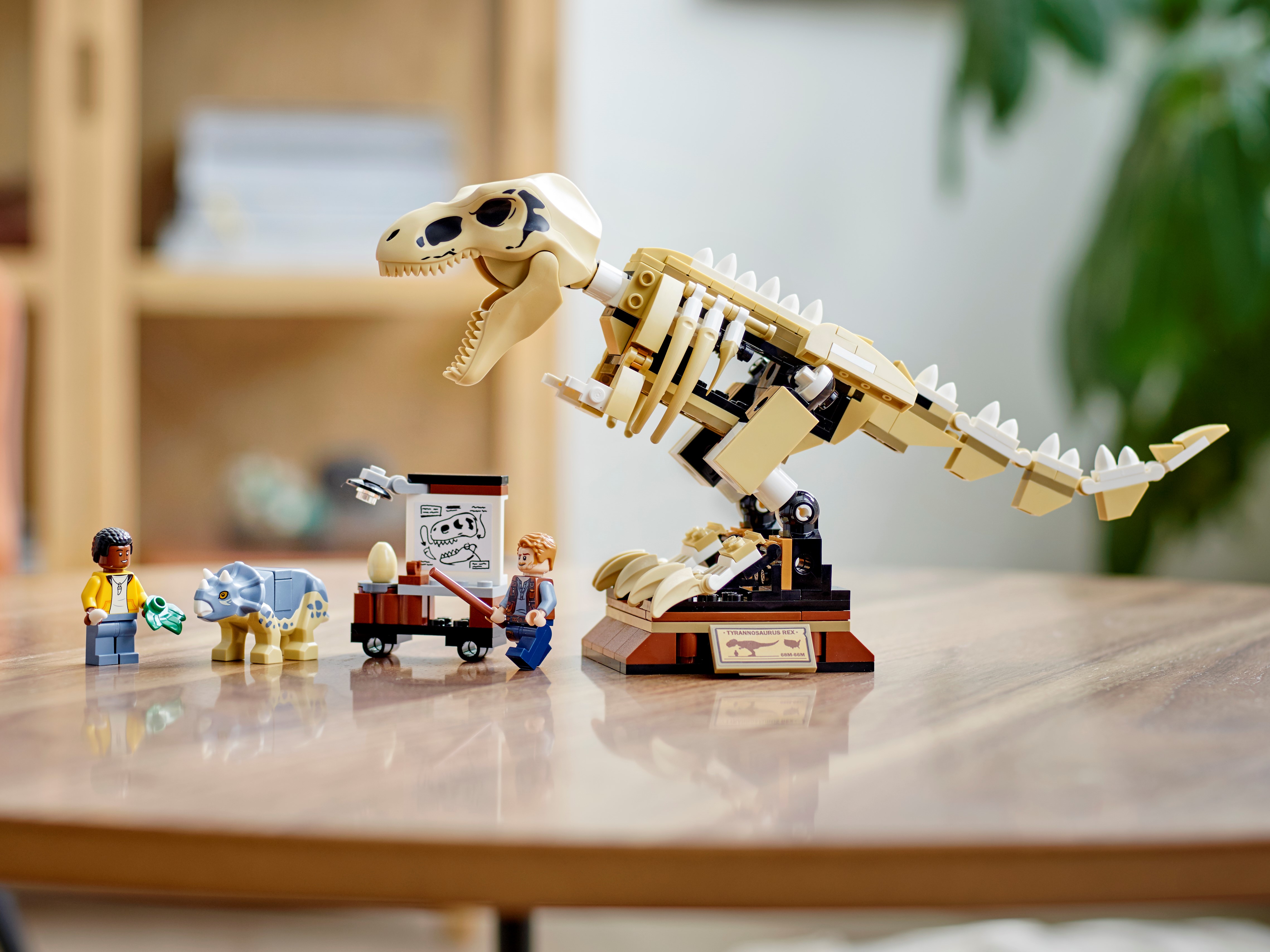 Jouet de Construction Squelette LEGO 76940 Jurassic World L’Exposition du Fossile du T Rex Dinosaure Jouet pour Enfant dès 7 Ans 