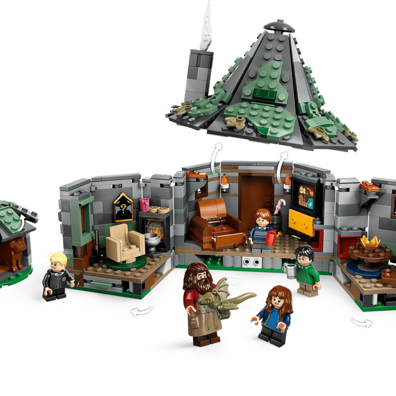 Hagrid's Hut: An Unexpected Visit