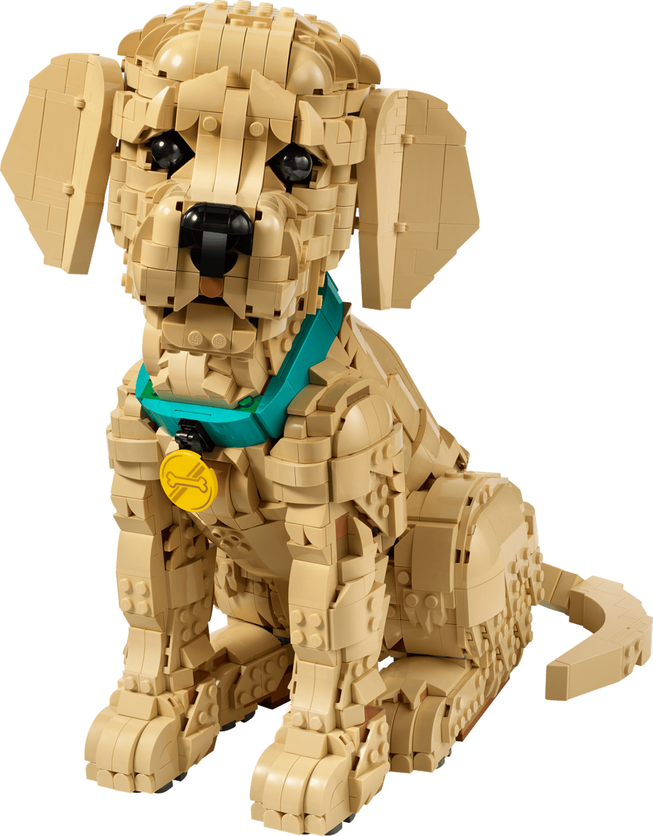 2x zoveel LEGO® Insiders-punten bij geselecteerde sets | Officiële LEGO® winkel NL