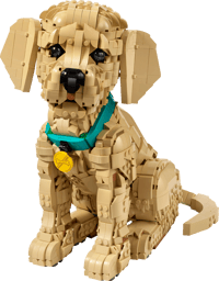 LEGO Icons 11384 Golden Retriever Welpe