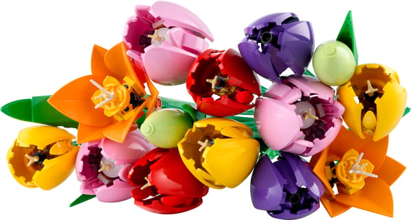 Tulipanbuket