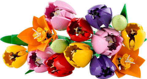 Bouquet di tulipani — set LEGO 11501