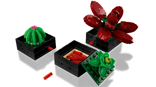 LEGO 10309 Les succulentes — visuel 8 sur 8