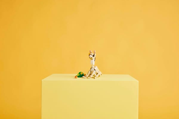 Cute Bunny - Image 13