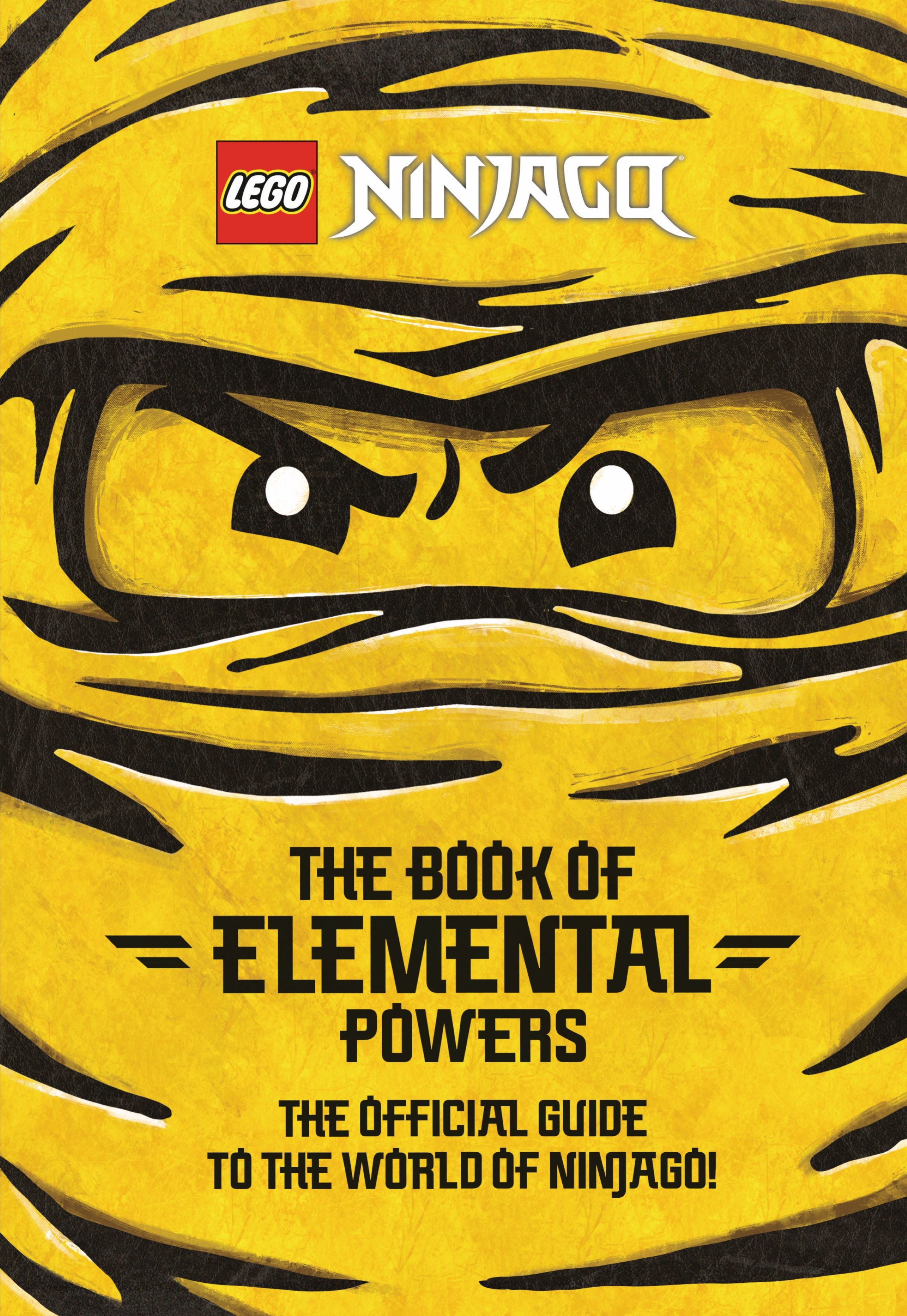 Lego Ninjago: Ninja Power! - (Activity Book with Minifigure) by Ameet  Publishing (Paperback)