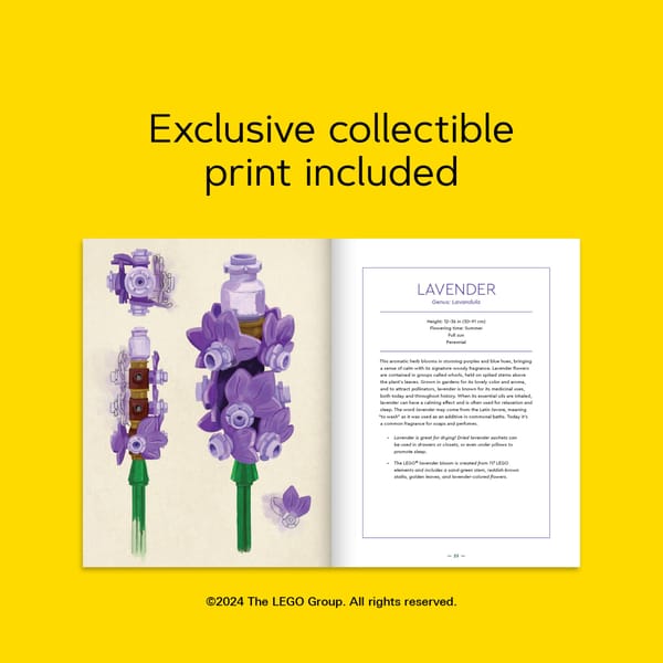 Botanical Almanac Book - Image 14