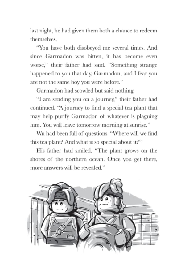 Spinjitzu Brothers: Curse of the Cateye Jewel Book - Image 5