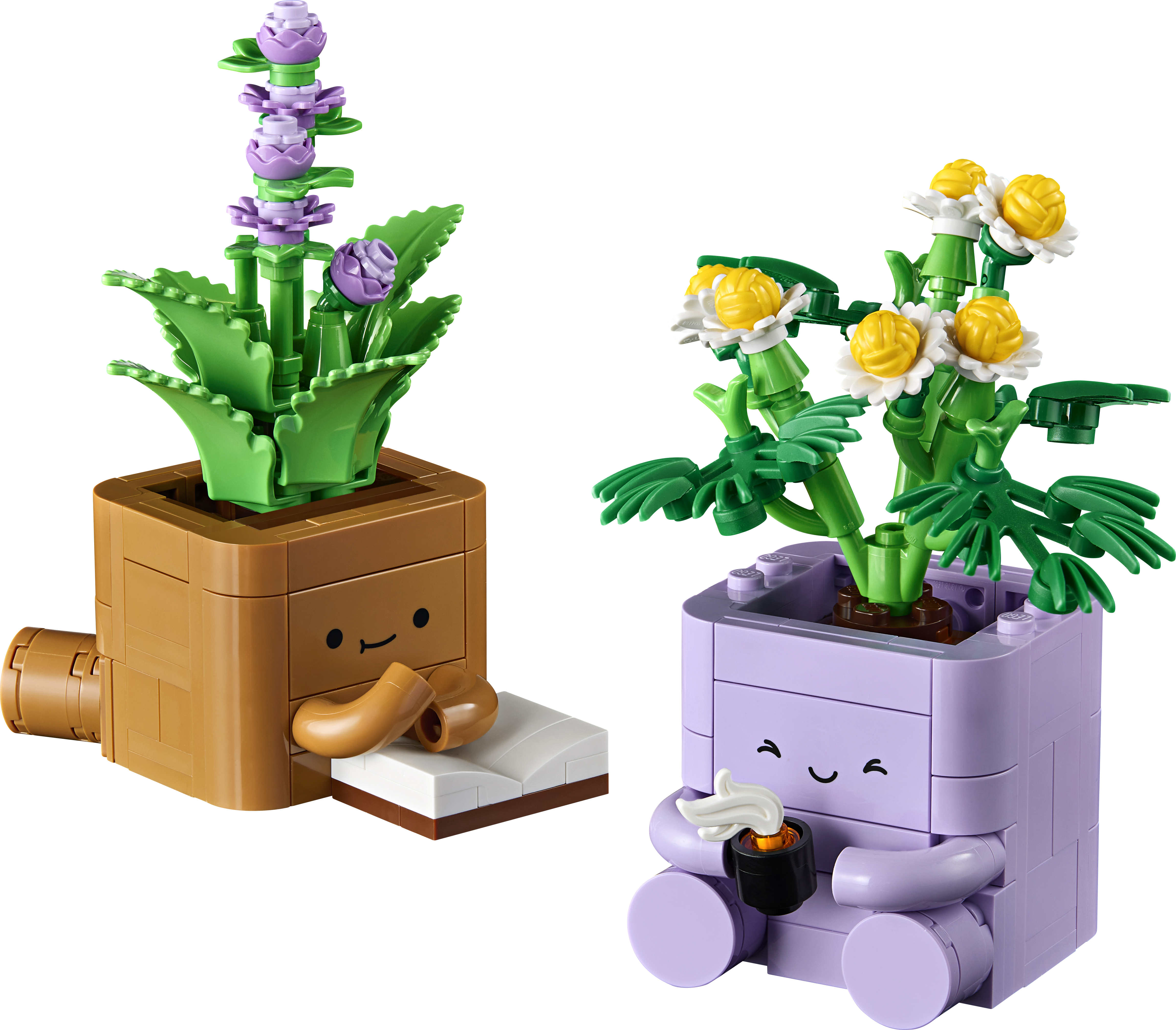 Cozy Plants