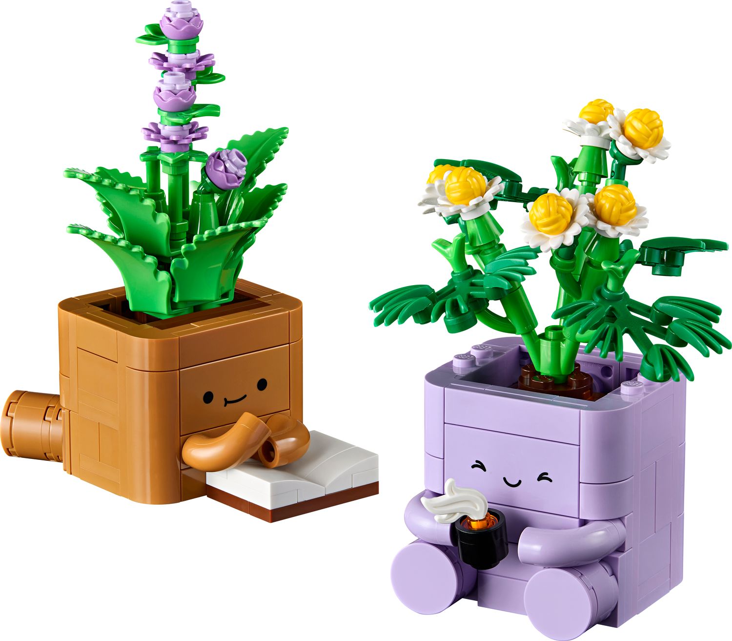 Cozy Plants