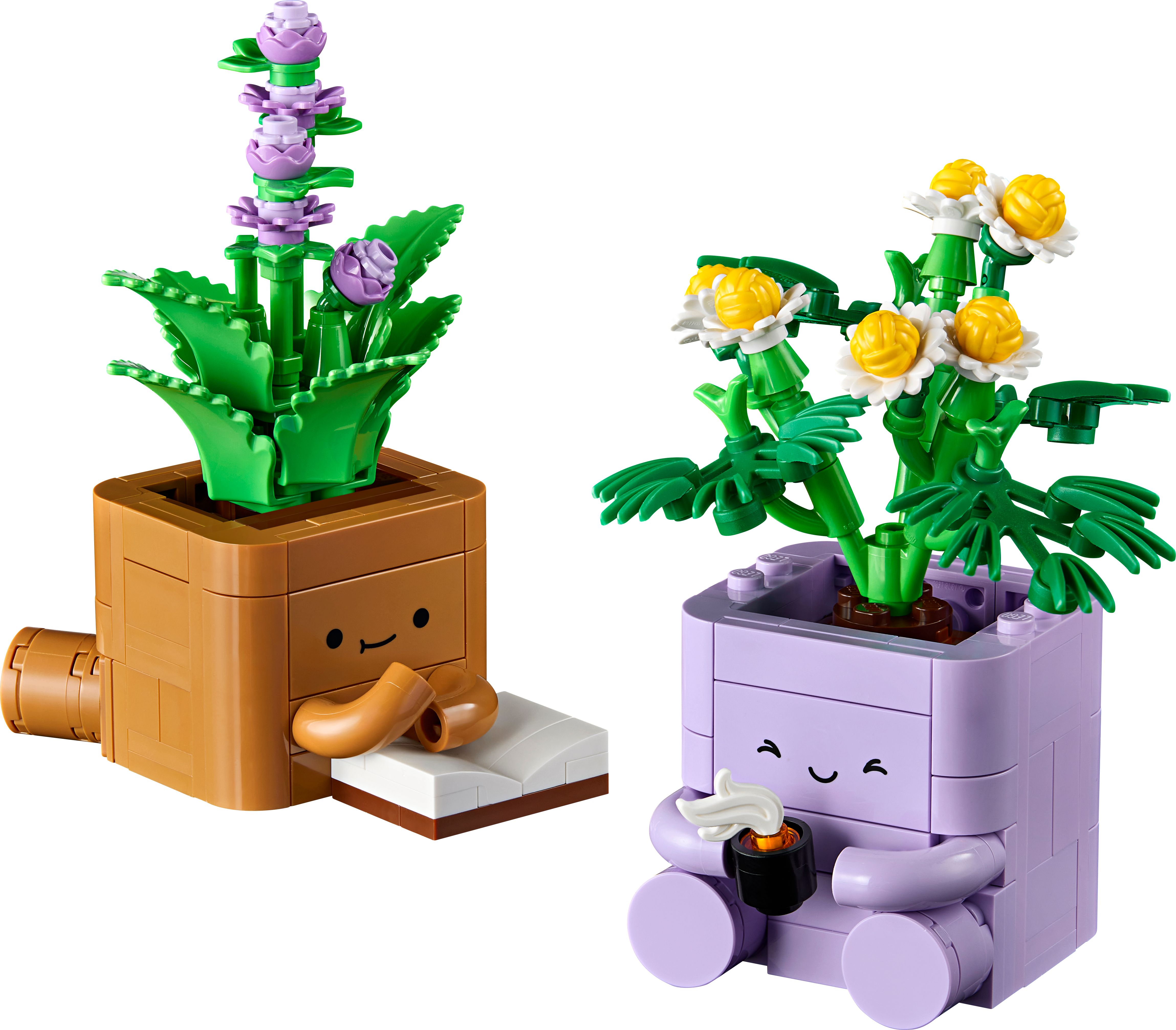 Gezellige plantjes