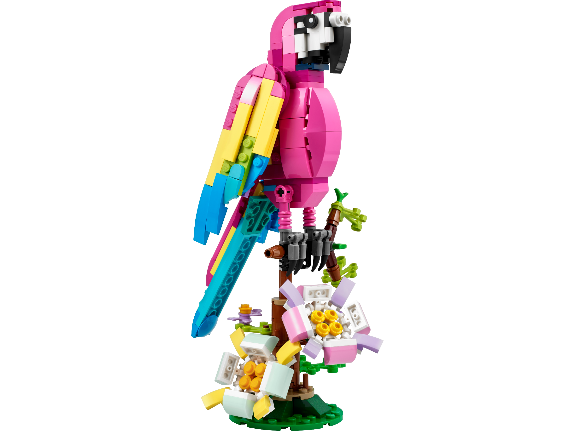 LEGO Perroquet (bec étroit)