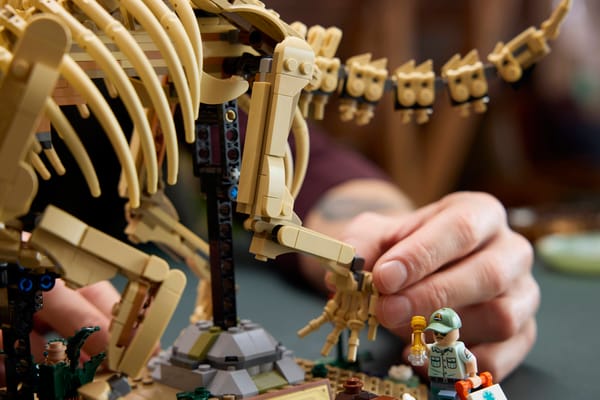 Dinosaur Fossils: Triceratops - Image 13