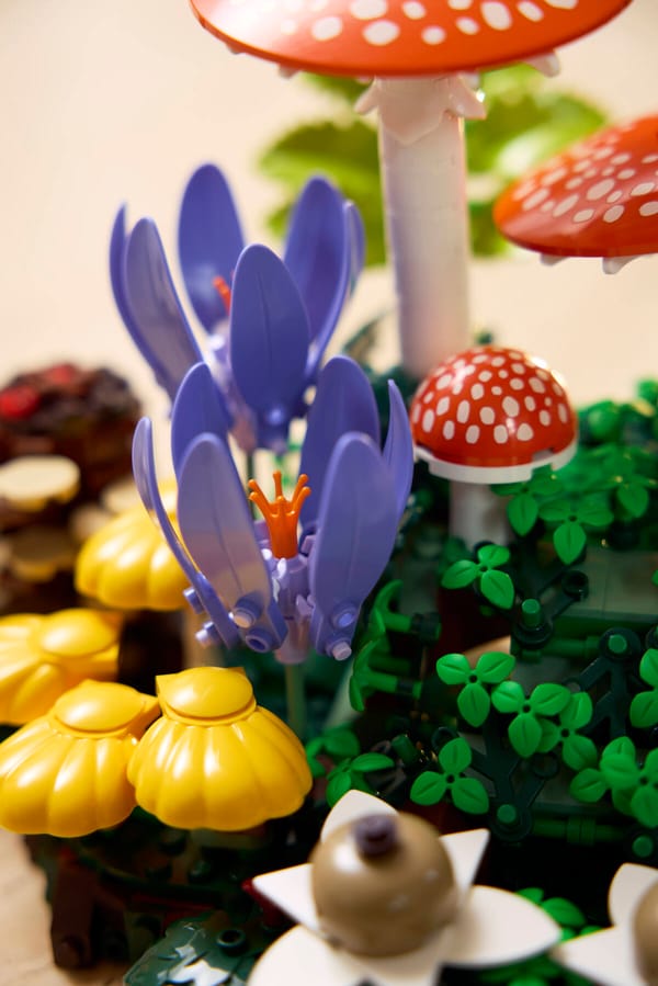 Woodland Mushrooms - Image 11