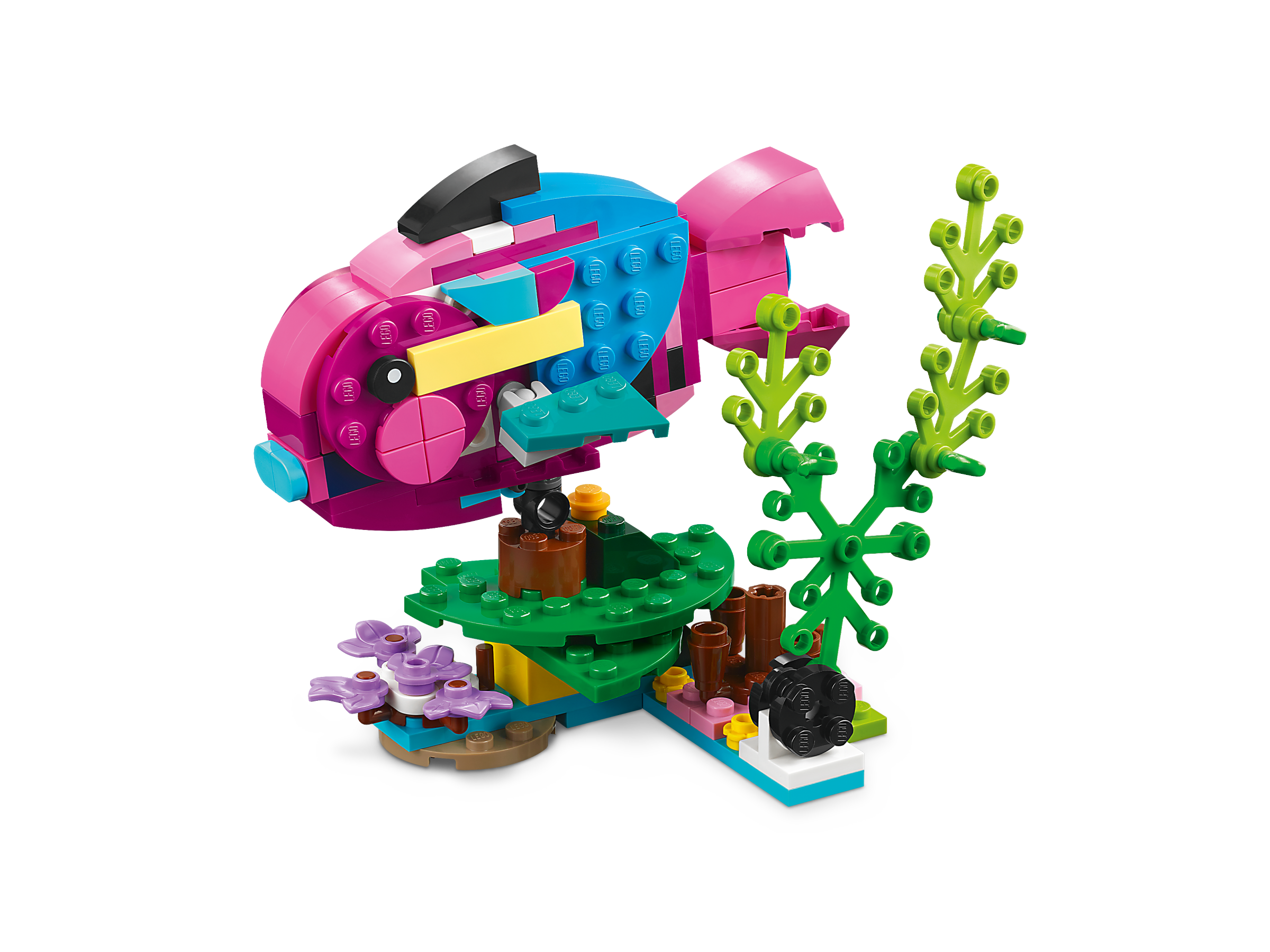 LEGO Perroquet (bec étroit)