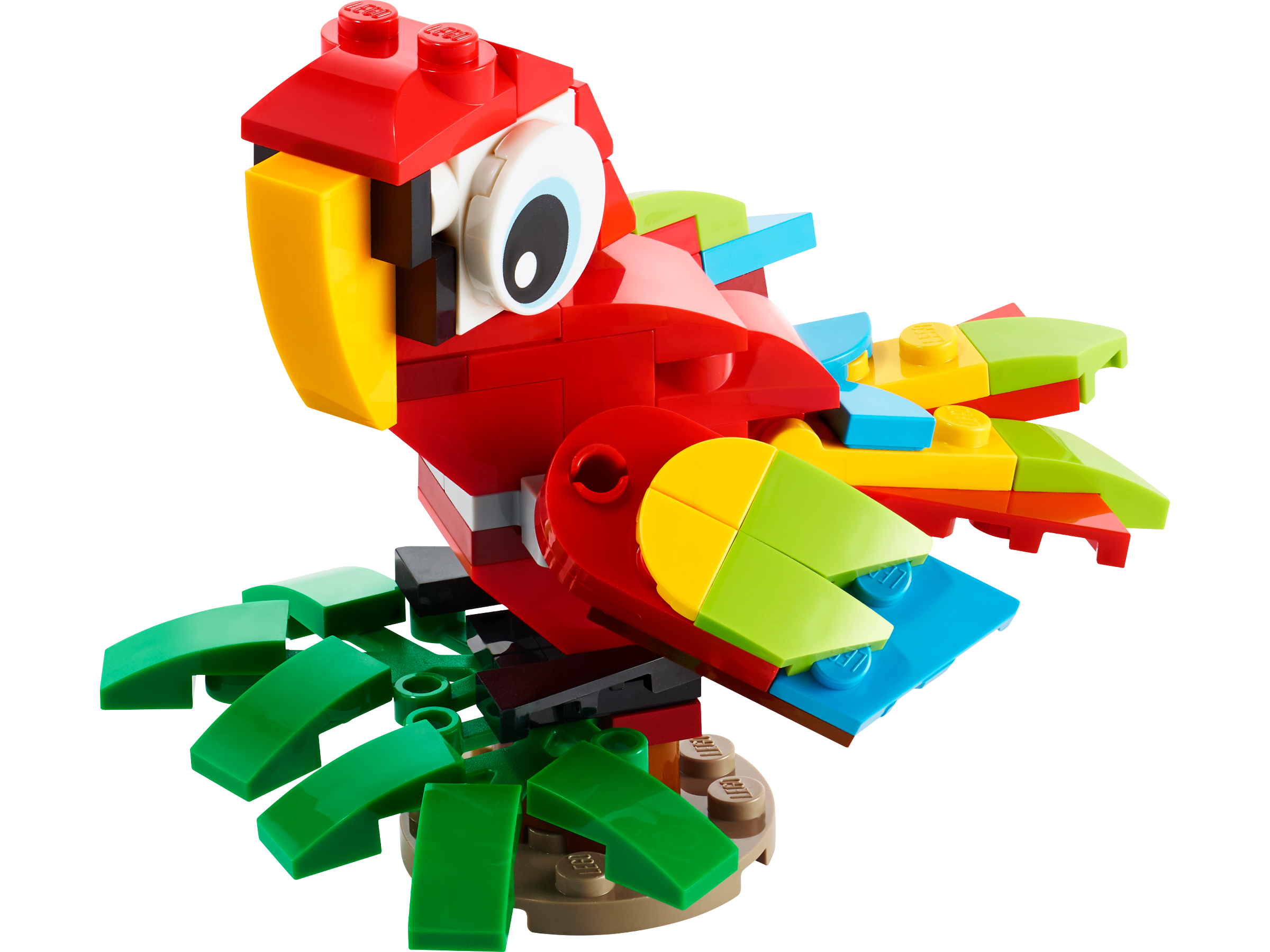 Le perroquet tropical 30581 | Creator 3-en-1 | Boutique LEGO® officielle FR