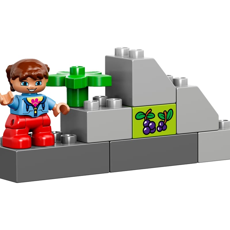 LEGO® DUPLO® Large Creative Box - Main Image