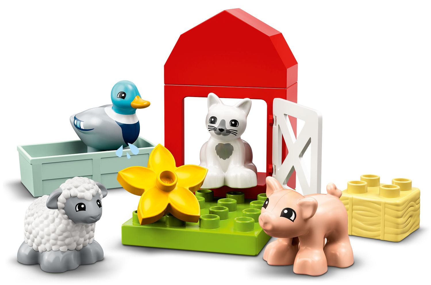 Farm Animal Care