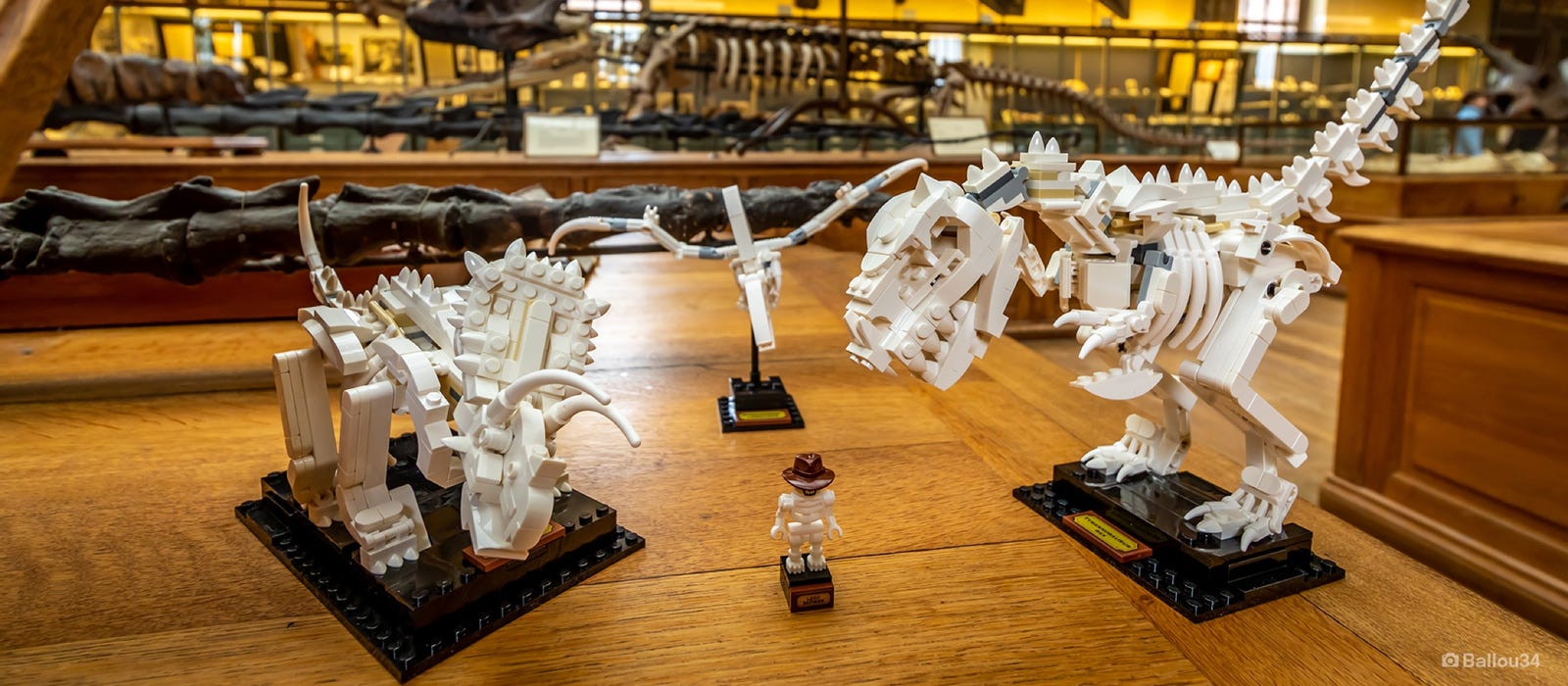 Benign fortvivlelse vej Dinosaur Fossils 21320 | Ideas | Buy online at the Official LEGO® Shop US