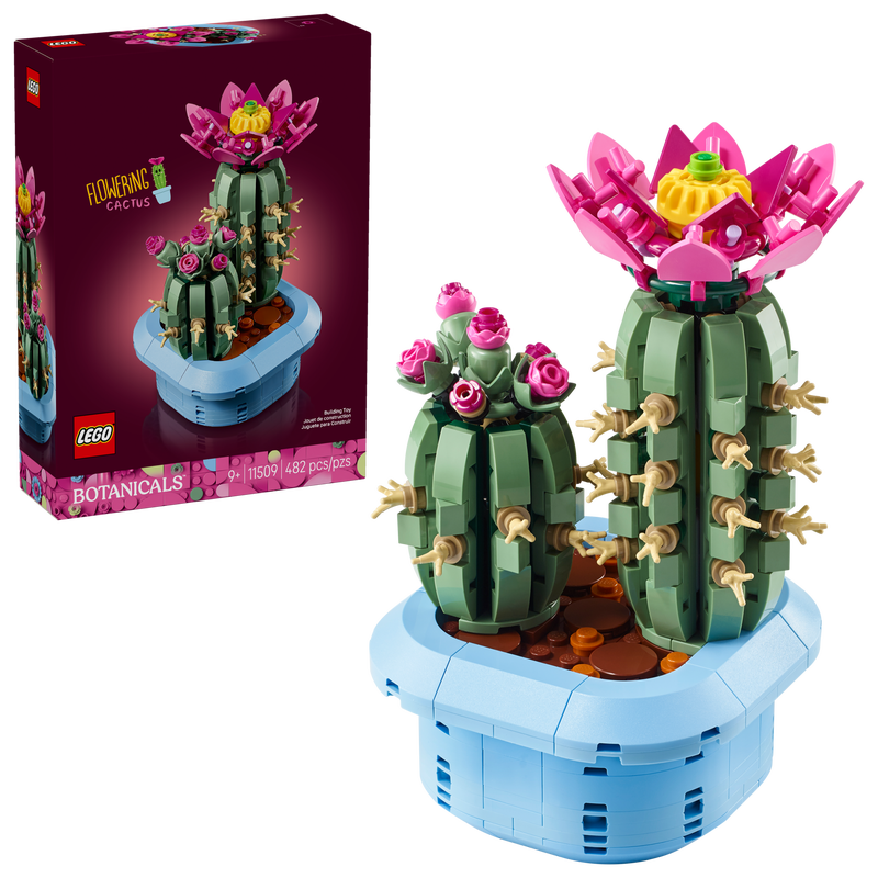 Flowering Cactus