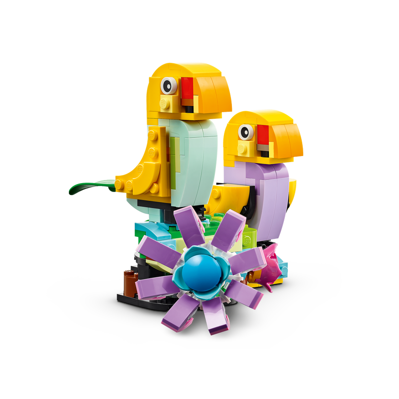 Flowers in Watering Can