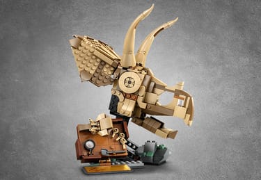 Dinosaur Fossils: Triceratops Skull