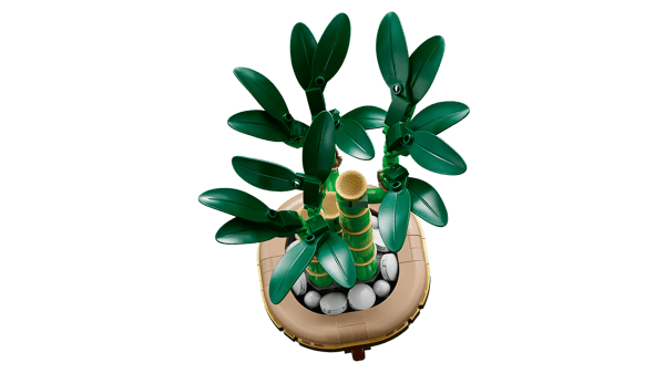 LEGO 10344 Le bambou de la chance — visuel 4 sur 8