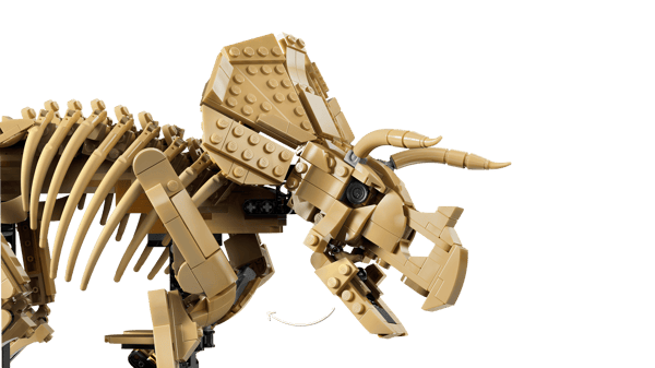 LEGO 77985 Les fossiles de dinosaure : le tricératops — visuel 5 sur 8