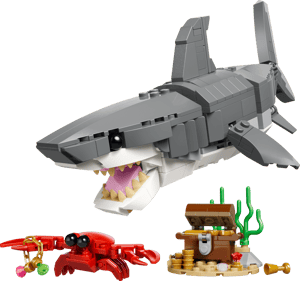 Le redoutable requin et le coffre au trésor