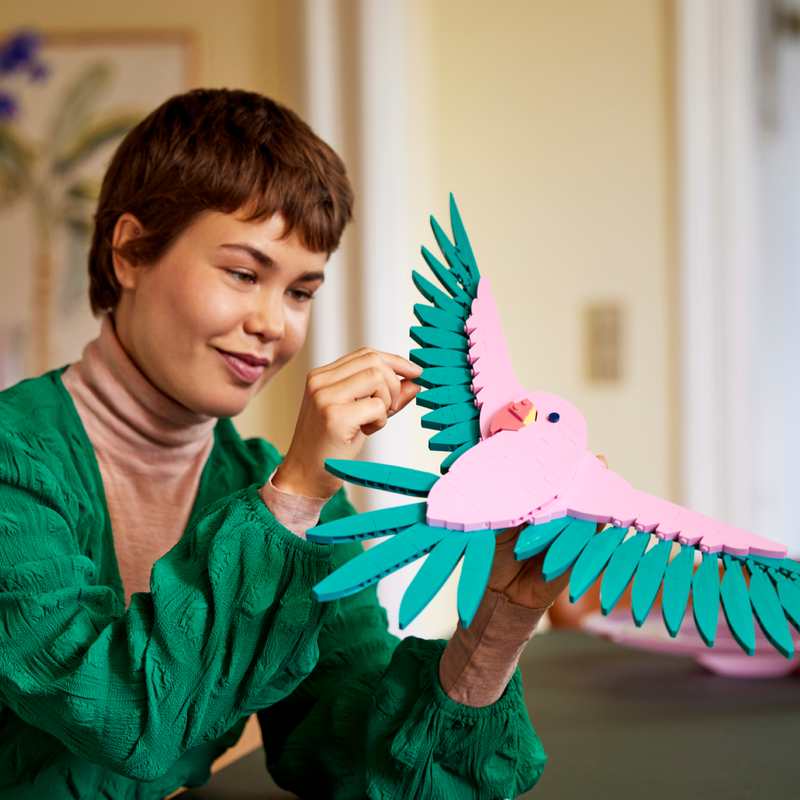 The Fauna Collection – Macaw Parrots