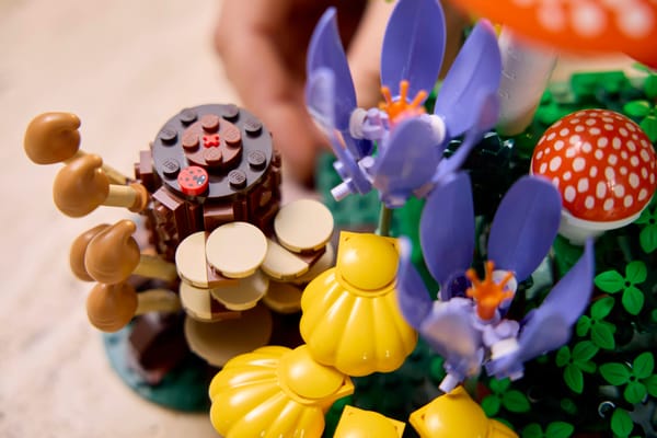 Woodland Mushrooms - Image 12