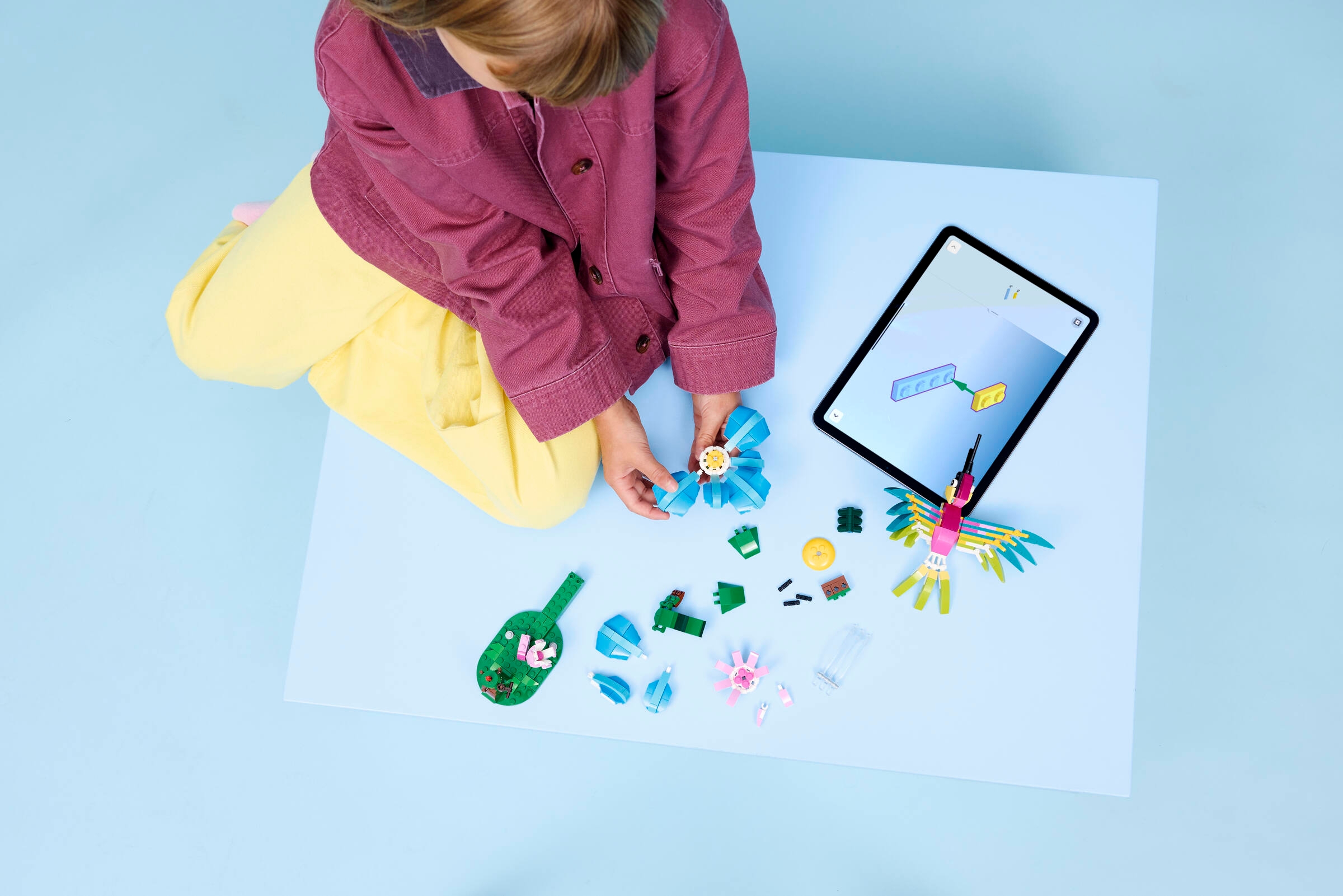 カラフルハチドリのお花さがし 31384 | クリエイター3in1 |レゴ®ストア