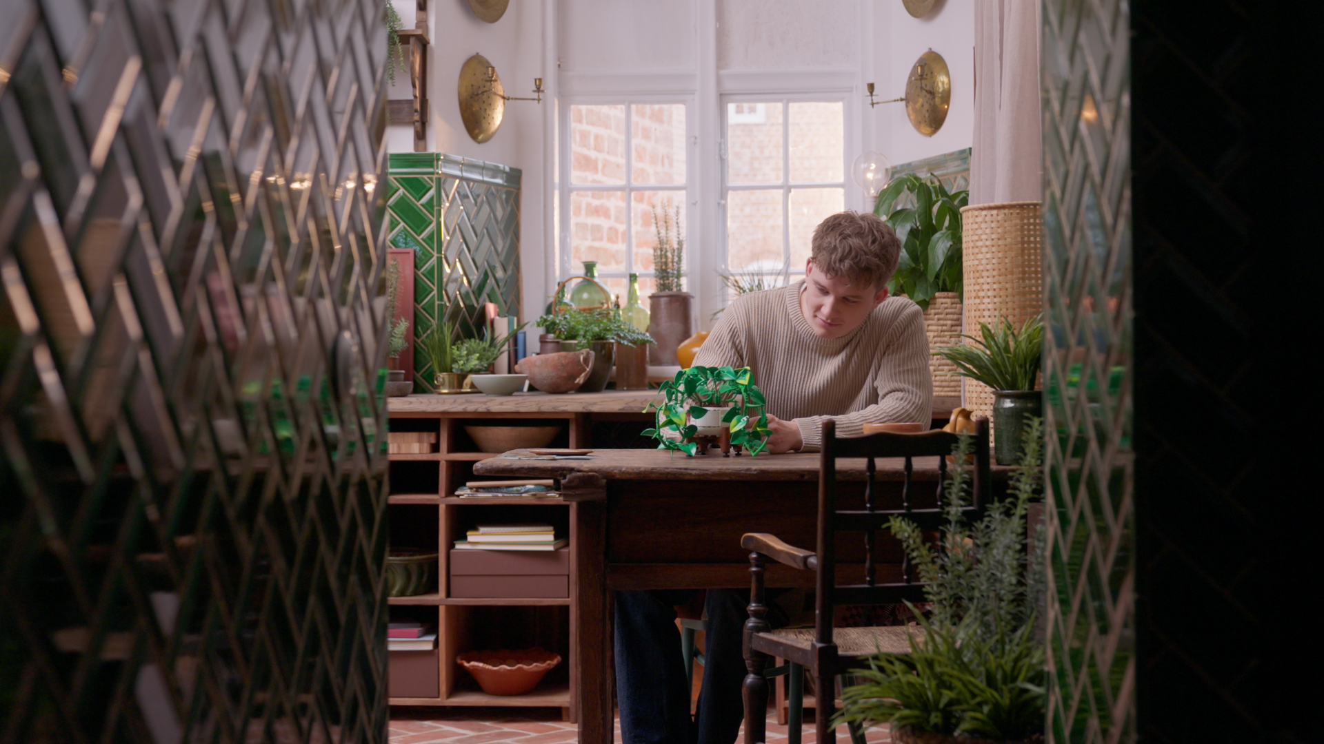 Hanging Golden Pothos - Image 7