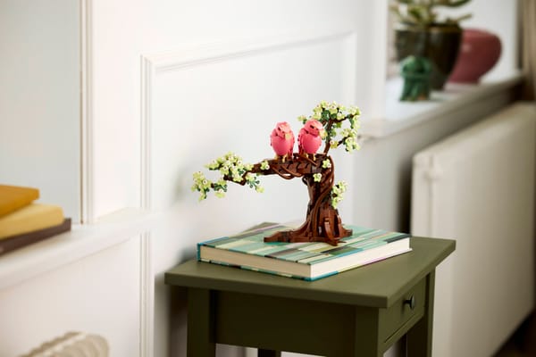 Love Birds - Image 12