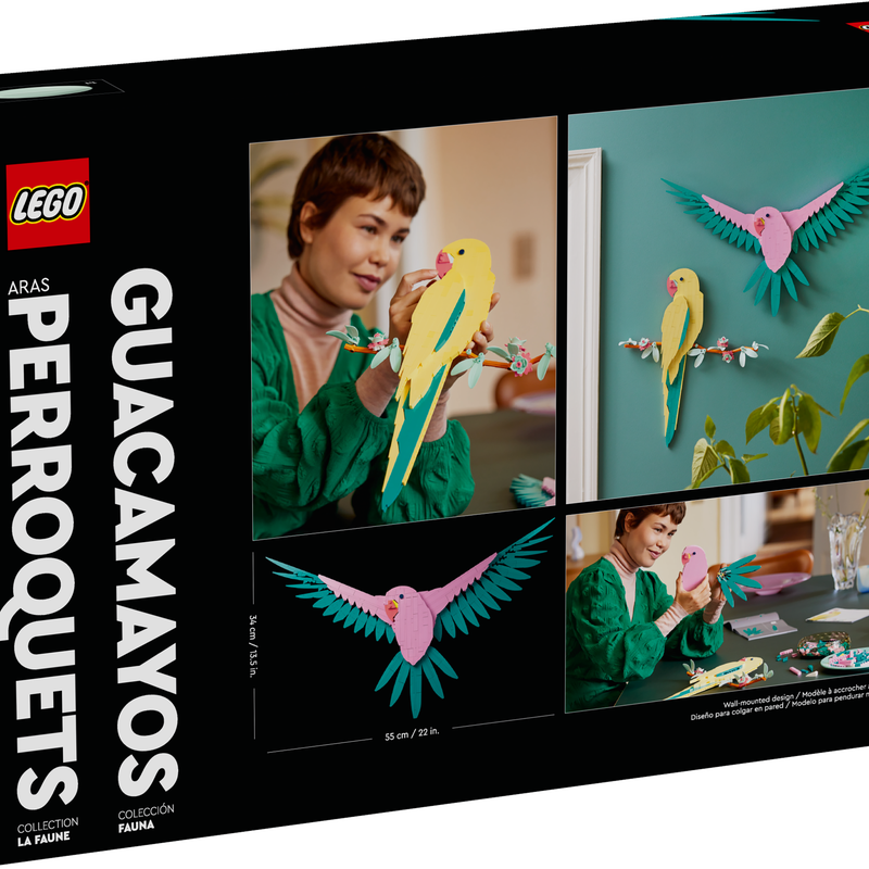 The Fauna Collection – Macaw Parrots