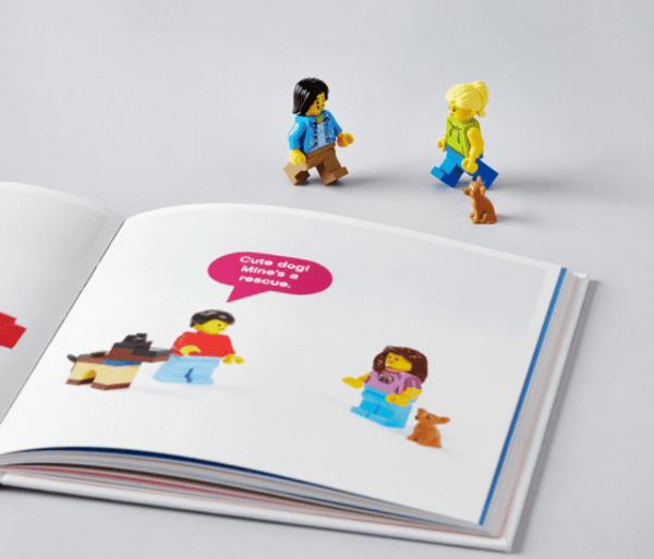 Small Parts: The Secret Life of Minifigures Book - Image 4