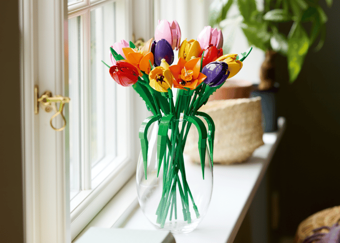 Wild and wonderful gifts for nature lovers | Official LEGO® Shop US