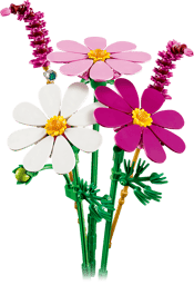 LEGO Botanicals 11514 Kosmeen