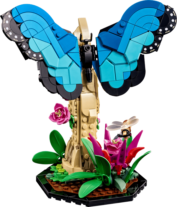 The Insect Collection - Image 5