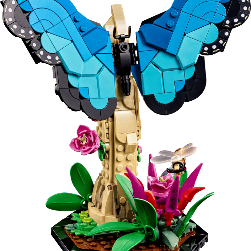 The Insect Collection