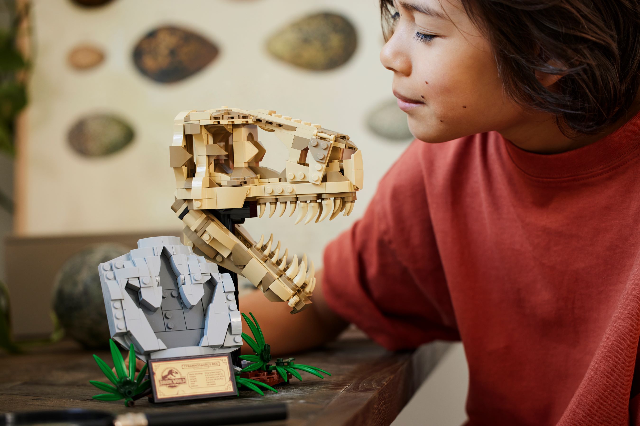 LEGO® 76964 Les fossiles de dinosaures : le .. - ToyPro