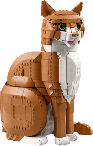 Le chat roux